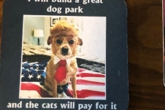 cute dog card