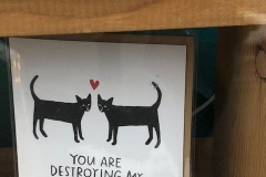 cute cat card