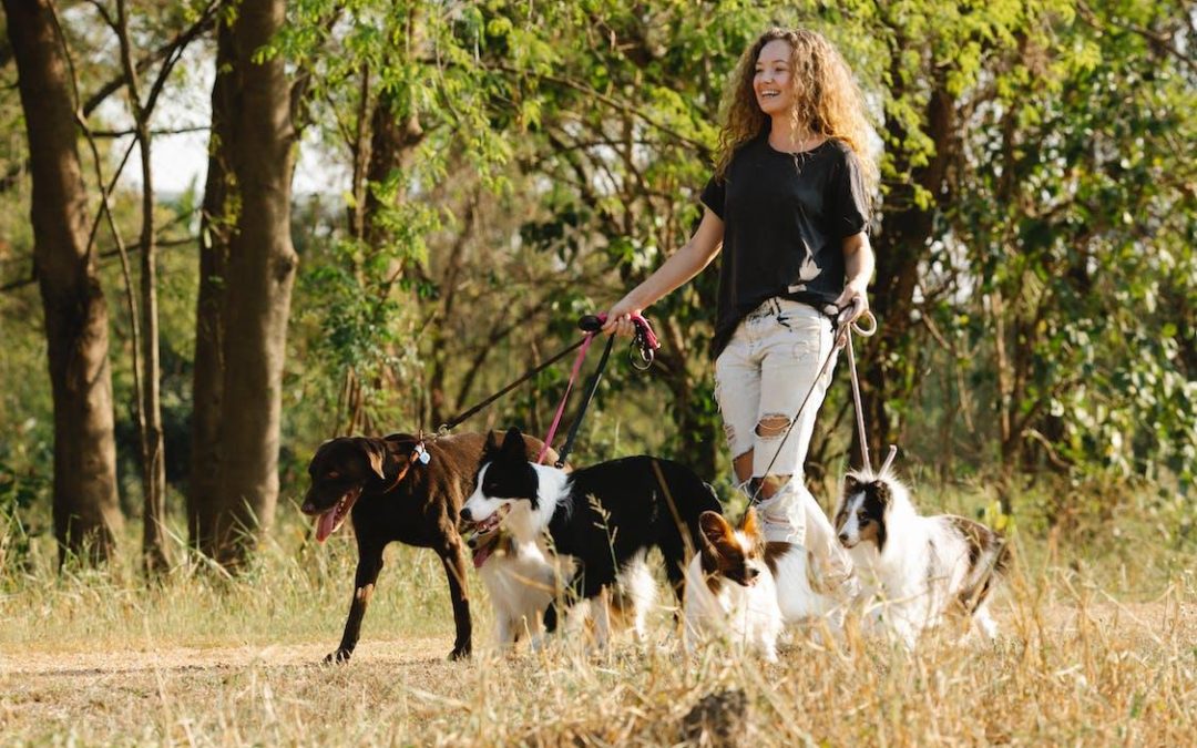 Creating Healthy Habits: The Benefits of Regular Dog Walking