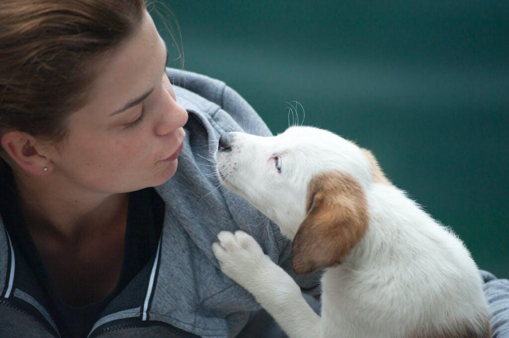 Coping with pet loss