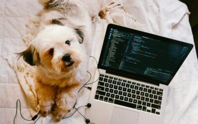 The Busy Pet Parent’s Guide to Keeping Dogs Active During the Workweek
